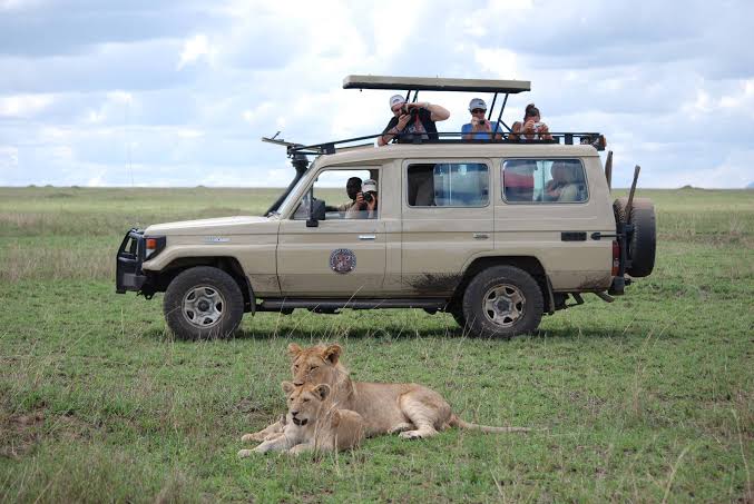 Usambaa Tourism Company, we are a safari and tour company based in Tanzania. We specialize in organizing wildlife safaris, Mountain climbing, beach holidays, Cultural tourism, and best accommodation